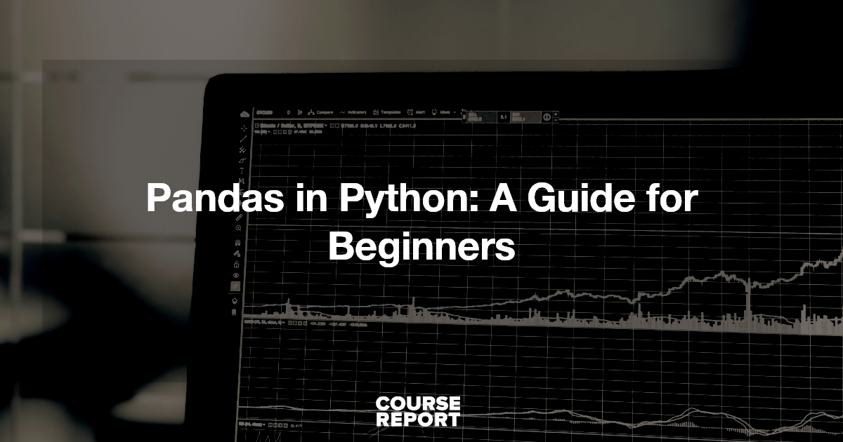 Pandas in Python: A Guide for Beginners