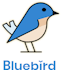 bluebird-logo