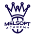 melsoft-academy-logo