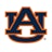 auburn-university-opce-bootcamps-by-springboard-logo