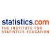 the-institute-for-statistics-education-logo