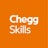 Chegg Skills Logo chegg-skills-logo