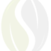 SeedPaths Logo seedpaths-logo