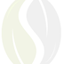 seedpaths-logo